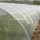 Lưới chống côn trùng Net-HDPE nông nghiệp